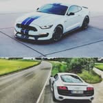 Mark Dorman - @markdorman1212005 - Instagram