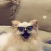 Mark Dotson - Facebook