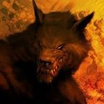 Mark Dougherty - @markdougherty71 - Instagram