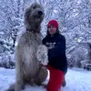 mydogpack - @markxdragan - TikTok