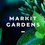 Mark Dragone - @markitgardens - Instagram