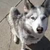 markdrescher492 - @markdrescher492 - TikTok