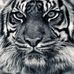 Marcus Driedger - Facebook
