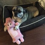 @mark.driedger - Instagram