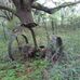 Mark Driggers - Facebook