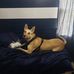 Mark Droste - Facebook