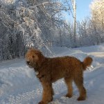 Mark Drouin - @bmdrouin - Instagram