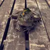 hi - @markdube931 - TikTok