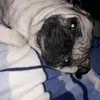 markdube565 - @markdube565 - TikTok