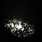 Mark Dufour - @md4mix - Instagram