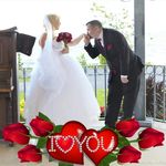 Mark Dufour - @mark.dufour - Instagram