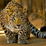 Mark Dunning - @mark.dunning.3344 - Instagram