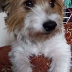 Mark Dunning - @dunnongjuniors - Instagram