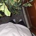 Mark Duran - Facebook