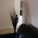 Mark Durden Jr. - @durdenjr.mark - Instagram