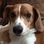 Mark Dutton - @markrdutton - Instagram