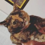 Mark Earls - @grumpykammy - Instagram