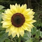Mark Earnshaw - @ernie_mark - Instagram
