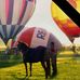 Mark Easterday - Facebook