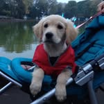 Mark Eaves - @meaves - Instagram