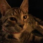 Mark Eberly - @markeberly - Instagram