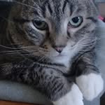 Mark Eberly - @1720meberly - Instagram