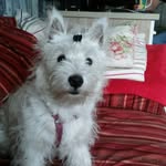 Dagmar Keckstein - @dagmarkeckstein - Instagram