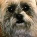 Mark Edens - Facebook