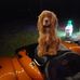 Mark T Edgren - Facebook