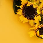 مميز بالأصفر - @marked_in_yellow - Instagram