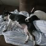 Mark Efird - @markefird - Instagram