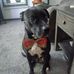 Mark Egger - Facebook