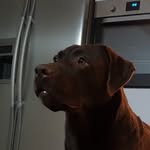 Mark Eggers - @mark.eggers.319 - Instagram