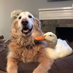 Mark Eggert - @markaeggert - Instagram