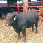 Mark Ehresman - @beefguy44 - Instagram