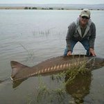 Mark Ehrhart - @markehrhart - Instagram