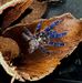 Markus Eicher - Facebook