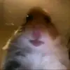 Mark Eichholz - @markeichholz - TikTok