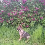 Markus Eichner - @markuseichner - Instagram