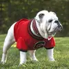 Mark Eiland - @mark.eiland - TikTok