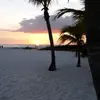 Mark - @mark.eklund - TikTok