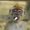 eeeeeee - @markelek - TikTok