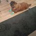 Mark Eley - Facebook