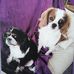 Mark Eley - Facebook