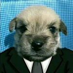 Mark Elizalde - @cmark3hello - Instagram