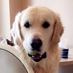 Mark Elkin - @elkin.mark - Instagram