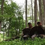 Mark Elkins - @mark_elkins_ - Instagram