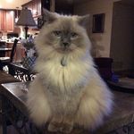 Mark Ellenberger - @mark.ellenberger.10 - Instagram