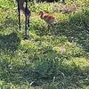 Mark Ellerbee - @mark.ellerbee - TikTok