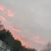 Markell Ferebee - @markell.ferebee - TikTok